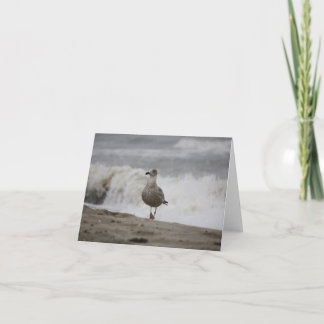 SeagullOnStormyBeach Thank You Card