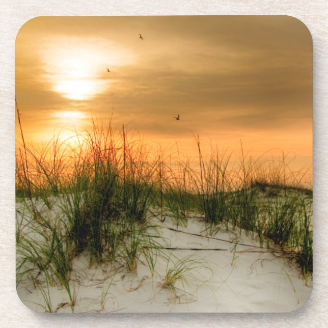 Seagulls at Sunrise Coaster (Front)