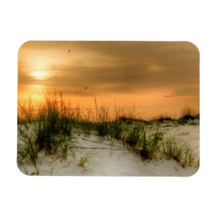 Seagulls at Sunrise Magnet