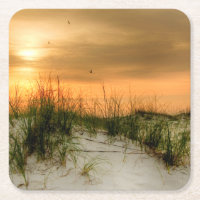 Seagulls at Sunrise