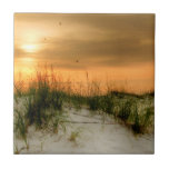 Seagulls at Sunrise Tile<br><div class="desc">Home Décor</div>