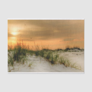 Seagulls at Sunrise Tissue Paper