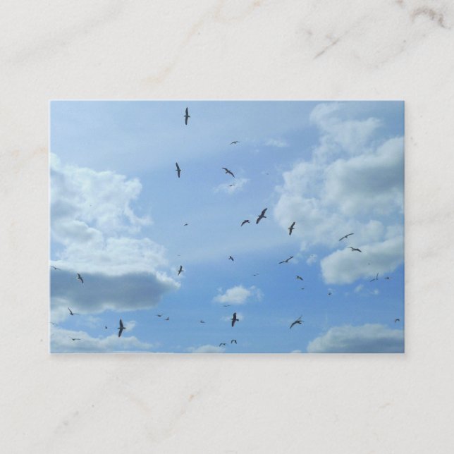 Seagulls Business Card (Front)