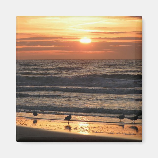 Seagulls by the Sea at Sunset  Magnet (Front)
