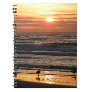Seagulls by the Sea at Sunset Notebook