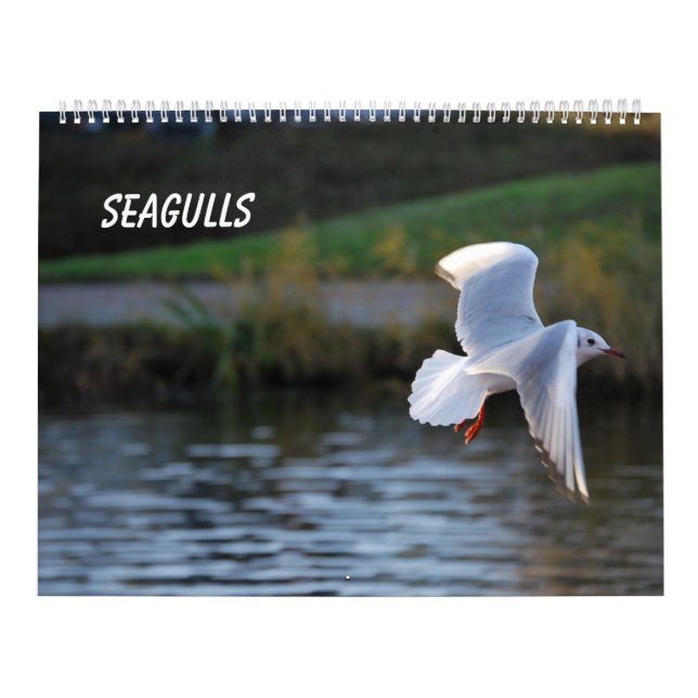 Seagulls Calendar (Cover)