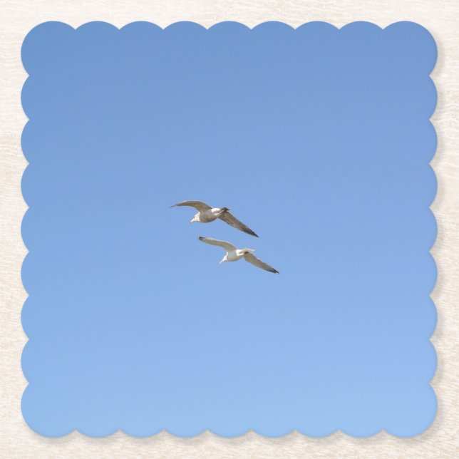 Seagulls Flying High - Paper Coaster (Front)