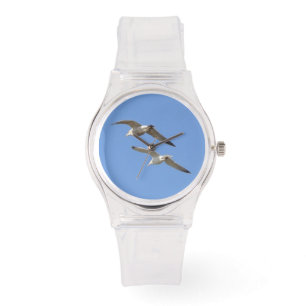 Seagulls Flying High - Watch