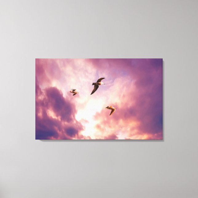 Seagulls flying in a sunset sky canvas print (Front)