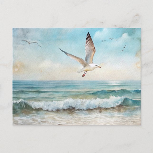 Seagulls Flying on a Beach Postcard (Front)