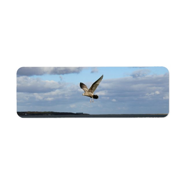 Seagulls in Flight (Front)