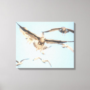 Seagulls in flight canvas print