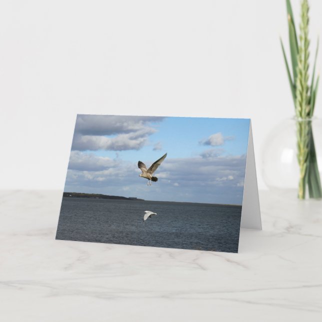 Seagulls in Flight Card (Front)