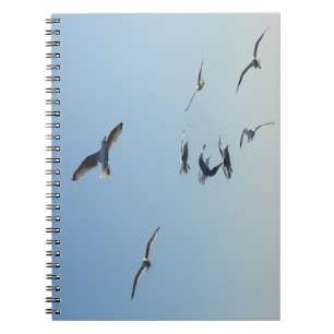 Seagulls in Flight Coastal Bird Seaside Journal