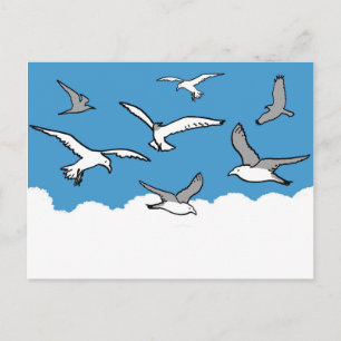 Seagulls in flight postcard
