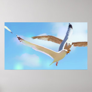Seagulls in Flight Poster