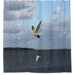 Seagulls in Flight Shower Curtain