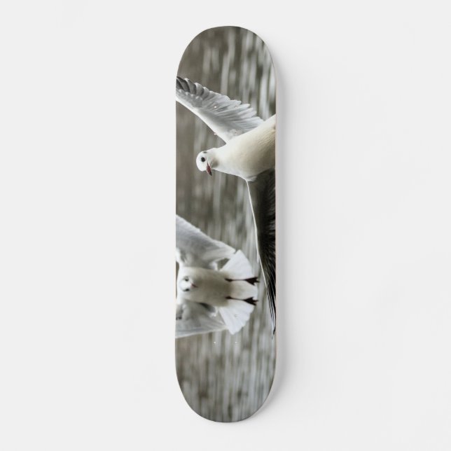 Seagulls in Flight Skateboard (Front)