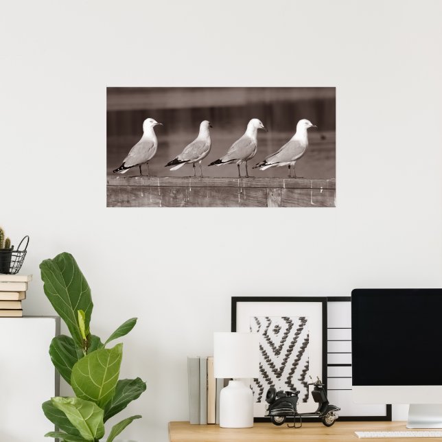 Seagulls in row poster (Home Office)