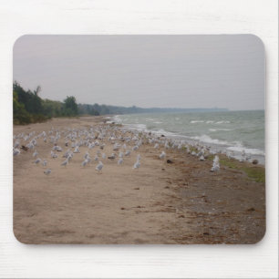 Seagulls Mouse Pad