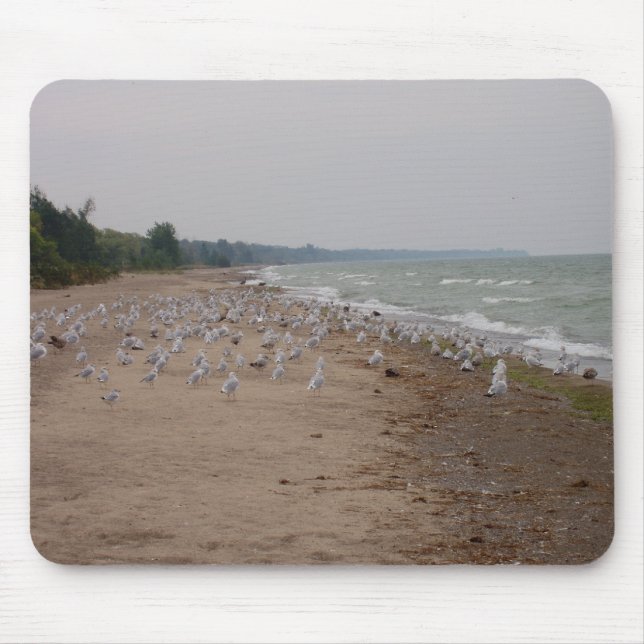 Seagulls Mouse Pad (Front)