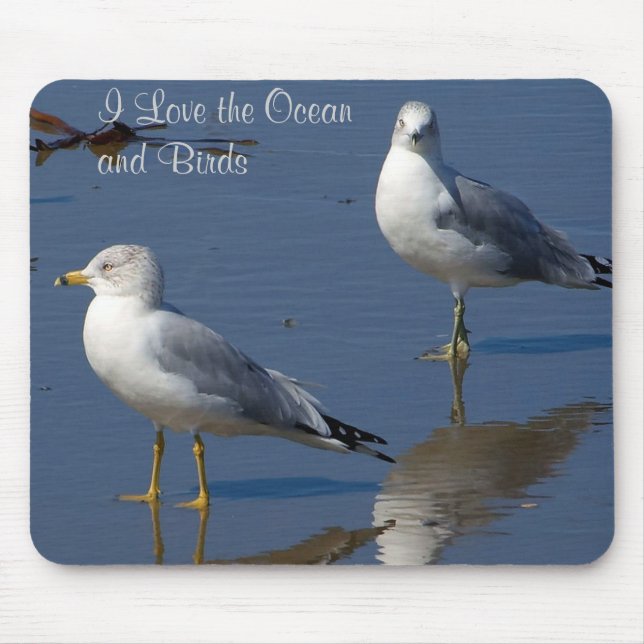 Seagulls Mousepad (Front)