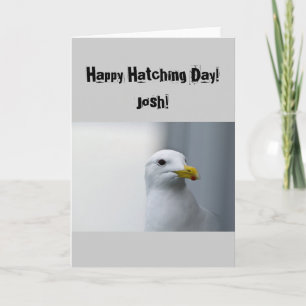 Seagulls Need Love Too Birthday Card