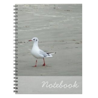 Seagulls Notebook