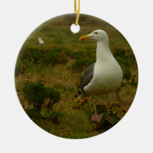 Seagulls on Anacapa Island Ceramic Tree Decoration