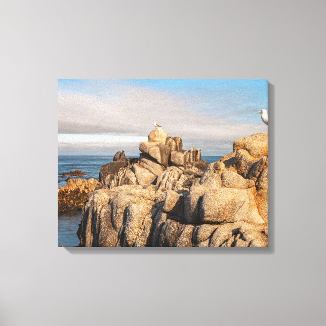 Seagulls on Rocky Coastline Canvas Print (Front)