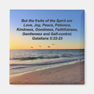 SEAGULLS ON THE BEACH FRUITS OF THE HOLY SPIRIT MAGNET