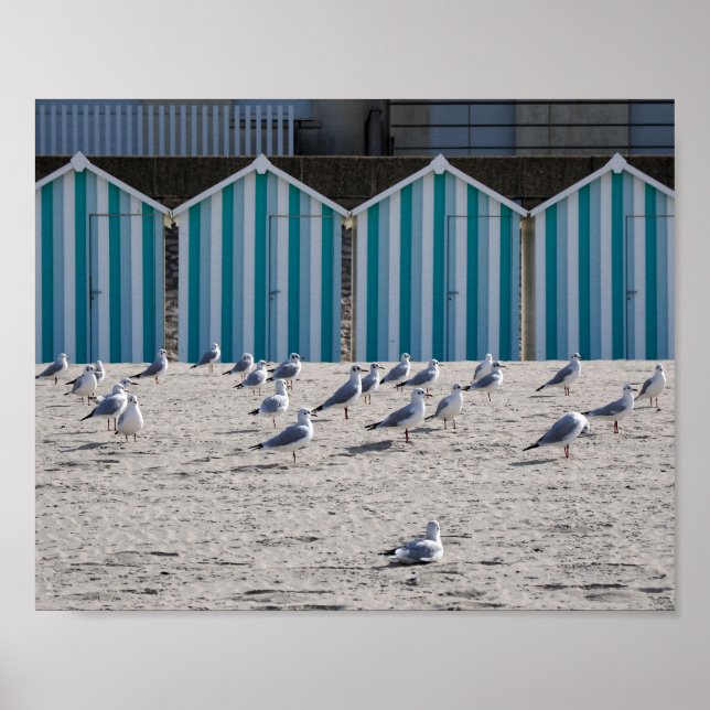 Seagulls on the beach of Fort Mahon in France. Poster (Front)
