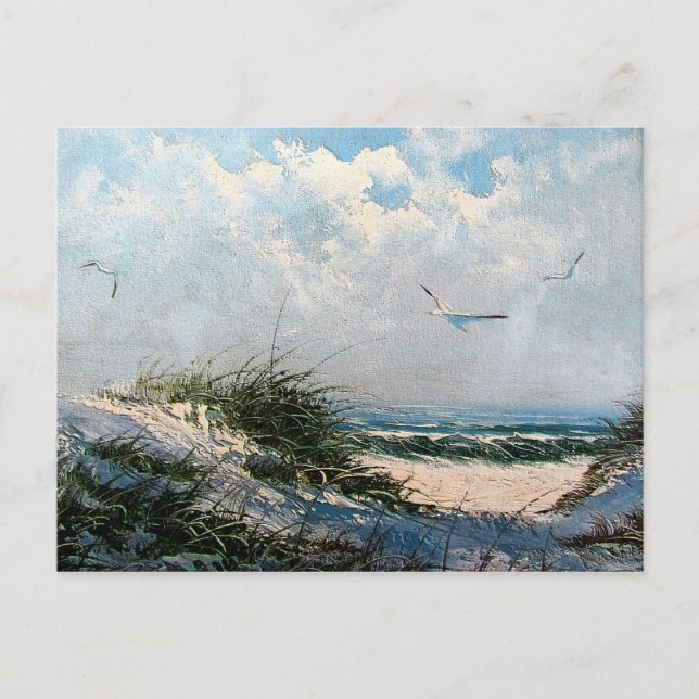 Seagulls on the beach postcard (Front)