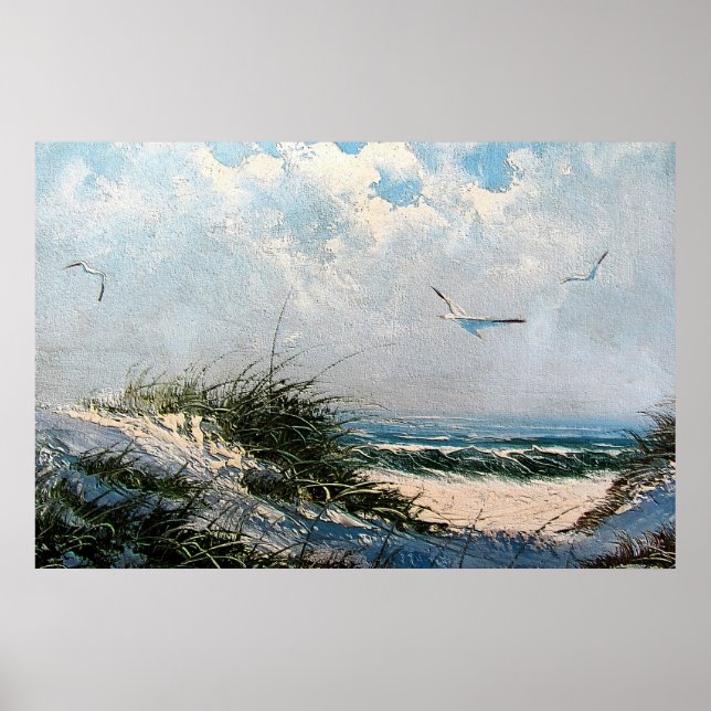 Seagulls on the beach poster (Front)