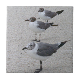 Seagulls on the Beach Tile
