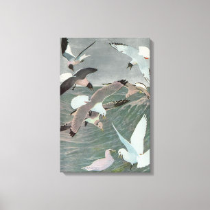Seagulls Over Ocean Waves by Louis Agassiz Fuertes Canvas Print