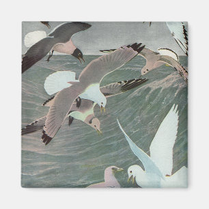 Seagulls Over Ocean Waves by Louis Agassiz Fuertes Magnet