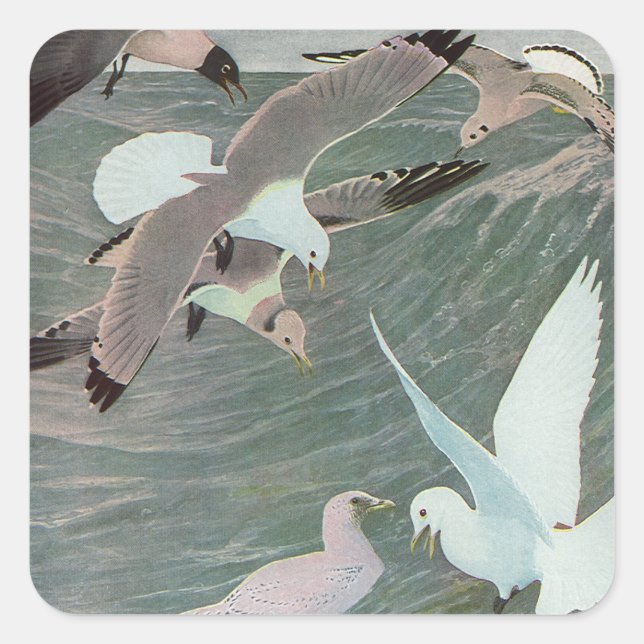 Seagulls Over Ocean Waves by Louis Agassiz Fuertes Square Sticker (Front)
