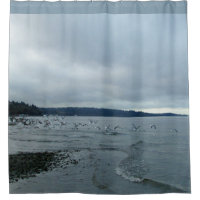 Seagulls Over Puget Sound Beach