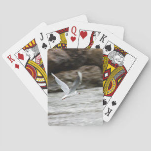 Seagulls Playing Cards