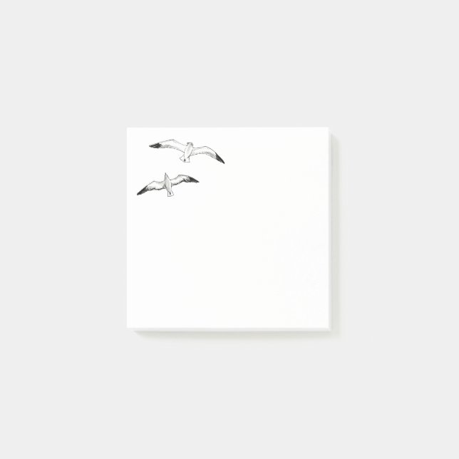 Seagulls Post-it Notes (Front)