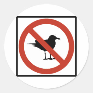Seagulls Prohibited Classic Round Sticker
