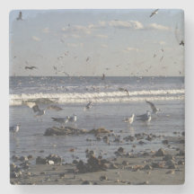 Seagulls & Shells
