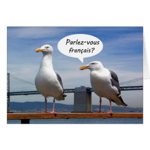 Seagulls speak French