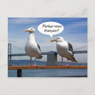 Seagulls speak French Postcard