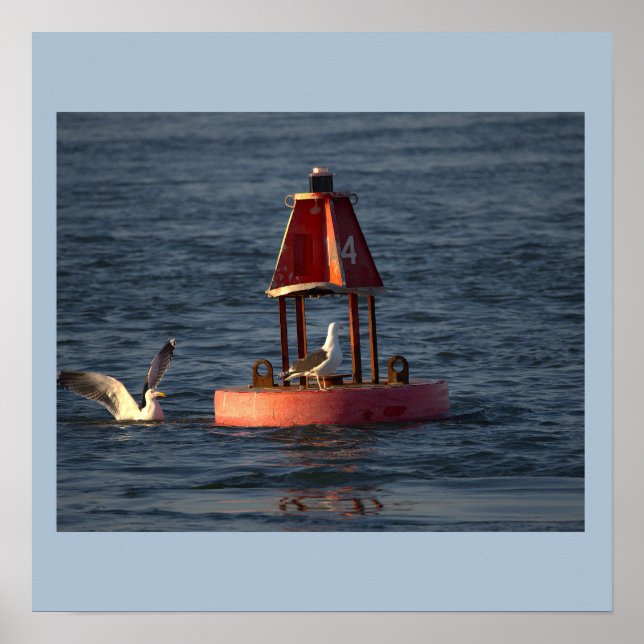 Seagulls with Buoy Poster (Front)