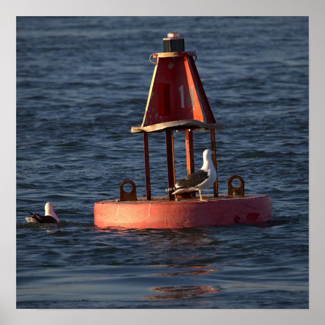 Seagulls with Buoy Poster (Front)