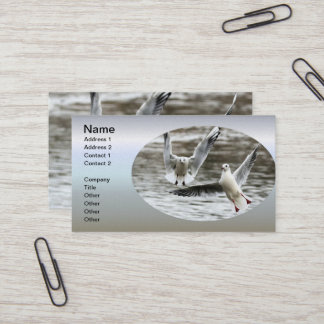 Seaguls in Flight Business Card