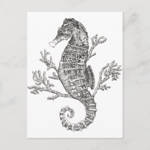 Seahorse and Coral Postcard
