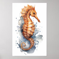 Seahorse animal invertebrate
